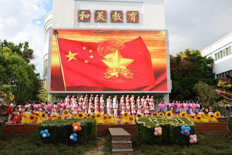 特色蔬菜产业链背后的“金融密码”